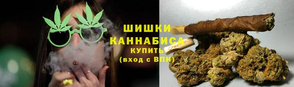 a pvp Новозыбков
