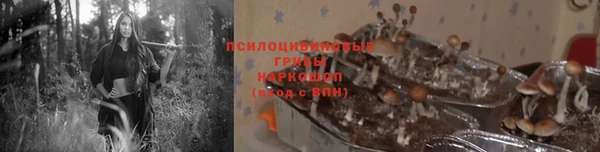ECSTASY Новокубанск
