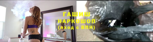 ECSTASY Новокубанск