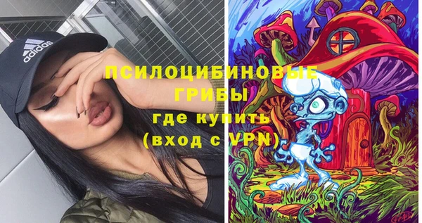 a pvp Новозыбков