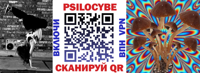 где купить наркотик Ардон Псилоцибиновые грибы Psilocybine cubensis